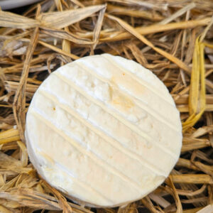 Cabécou fermier affiné - au lait cru de chèvre - 35 g.